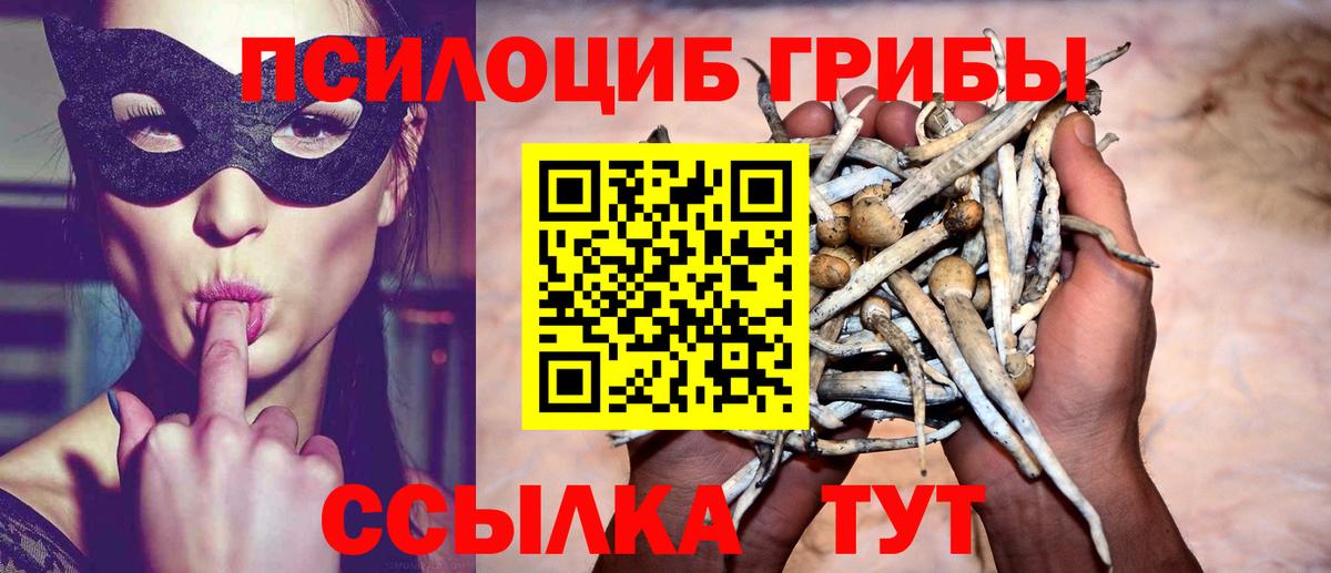 Псилоцибиновые грибы Magic Shrooms Шумерля